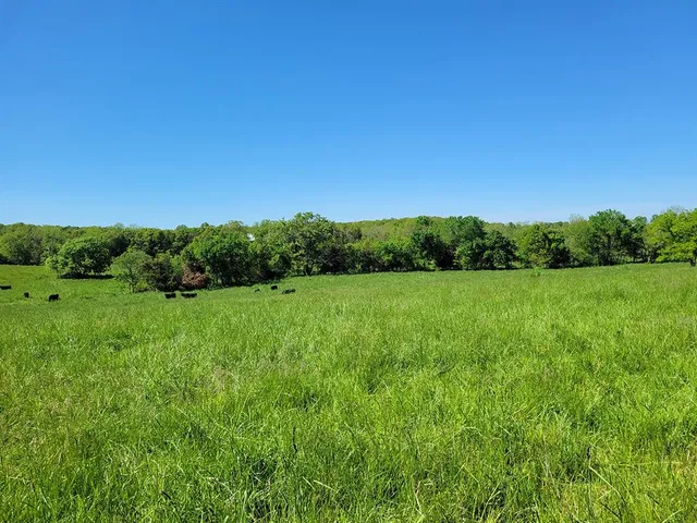 $1,250,000 | 0 Red Barn Road, Grovespring, MO 65662