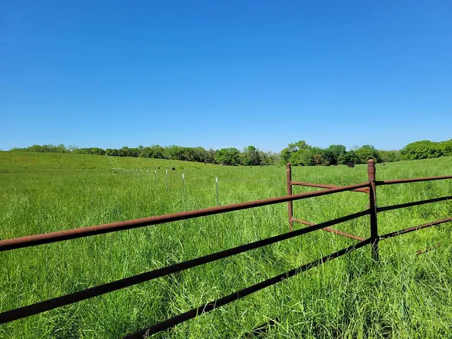 $1,250,000 | 0 Red Barn Road, Grovespring, MO 65662