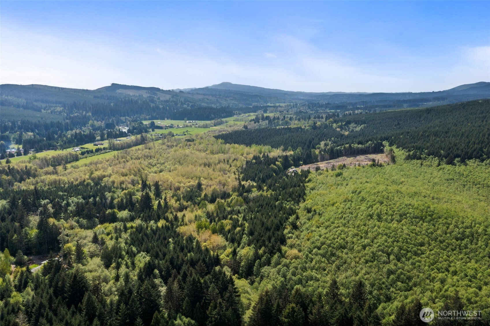 184 Labarre Road Chehalis, WA 98532 - Photo 16 of 16 a view of a lush green field with mountains in the background