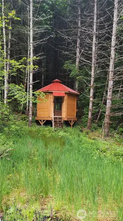 a view of a backyard with garden