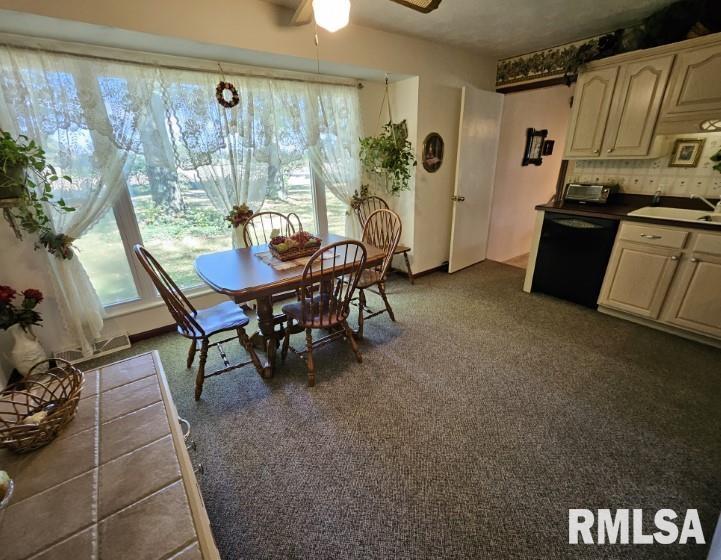15780 East Breezeway Road Texico, IL 62889 - Photo 5 of 44