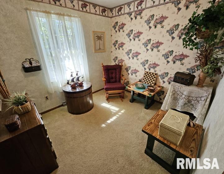 15780 East Breezeway Road Texico, IL 62889 - Photo 8 of 44