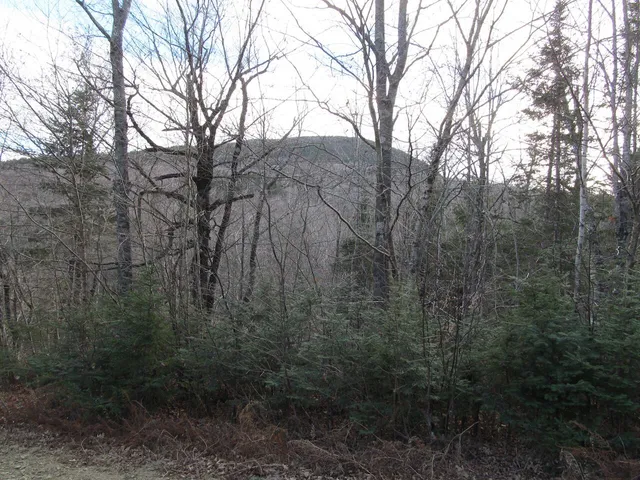 $225,000 | 0 Cherry Hill Road, Wilton, ME 04294