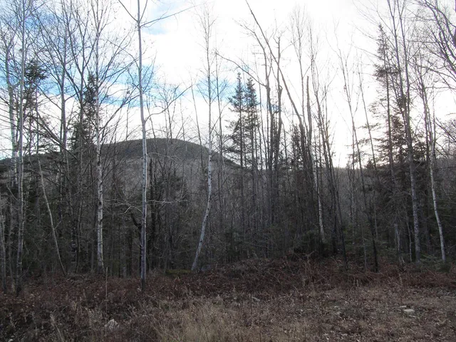 $225,000 | 0 Cherry Hill Road, Wilton, ME 04294