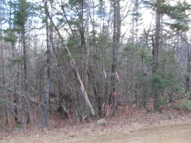 $225,000 | 0 Cherry Hill Road, Wilton, ME 04294