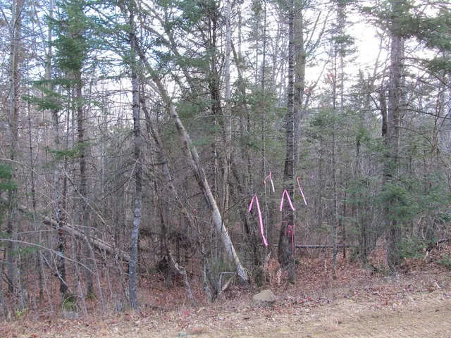 $225,000 | 0 Cherry Hill Road, Wilton, ME 04294
