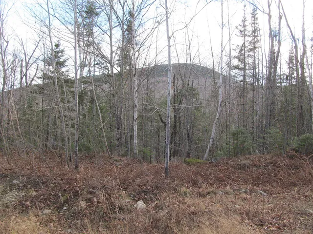 $225,000 | 0 Cherry Hill Road, Wilton, ME 04294