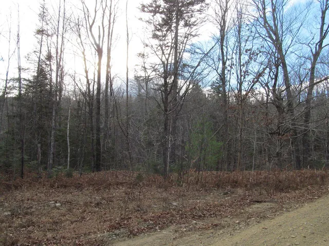 $225,000 | 0 Cherry Hill Road, Wilton, ME 04294