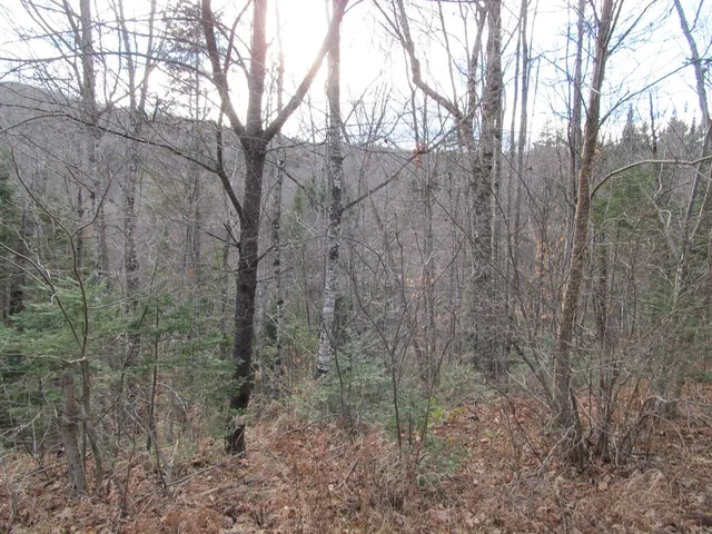 $225,000 | 0 Cherry Hill Road, Wilton, ME 04294