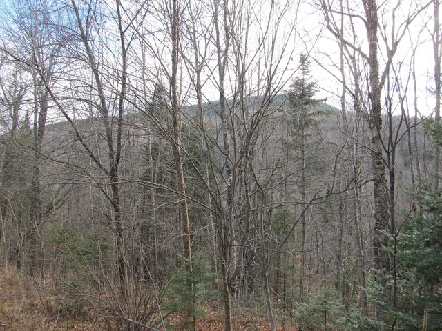 $225,000 | 0 Cherry Hill Road, Wilton, ME 04294