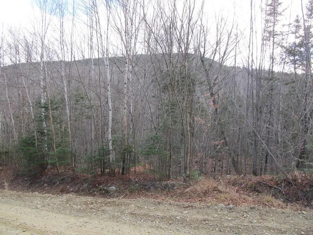 $225,000 | 0 Cherry Hill Road, Wilton, ME 04294