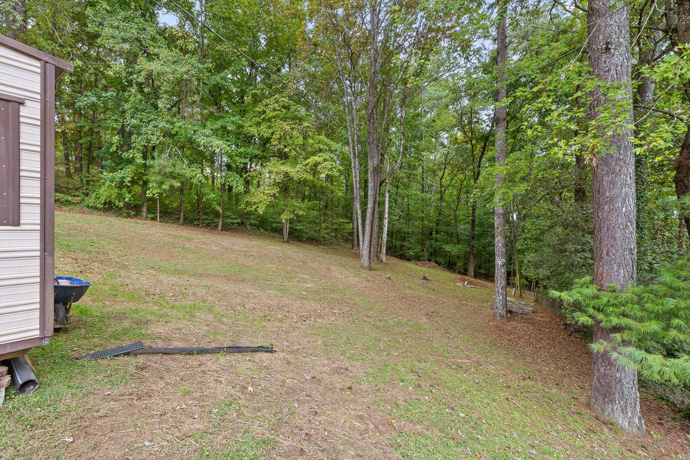 1135 Shady Fork Road Chattanooga, TN 37421 - Photo 38 of 40 42-Shady Fork-7