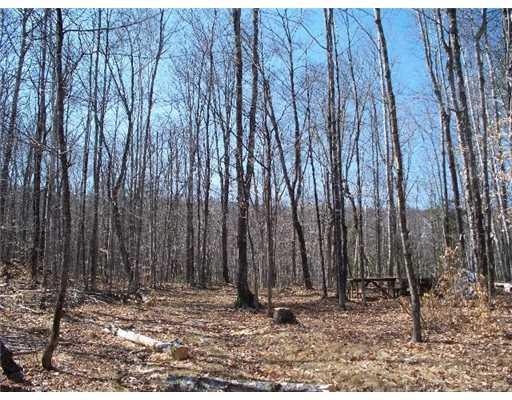 300 Pierce Hill Road Moscow, ME 04920 - Photo 9 of 14 Land/Lot.