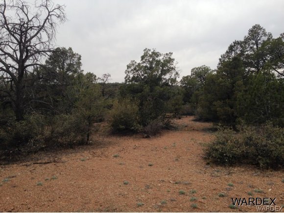 5184 Lookout Road Kingman, AZ 86401 - Photo 11 of 11