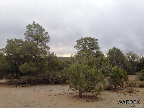 5184 Lookout Road Kingman, AZ 86401 - Photo 2 of 11 surrounds by trees and nature