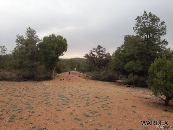 5184 Lookout Road Kingman, AZ 86401 - Photo 3 of 11 septic already installed