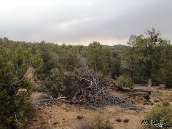 5184 Lookout Road Kingman, AZ 86401 - Photo 4 of 11 still on the property