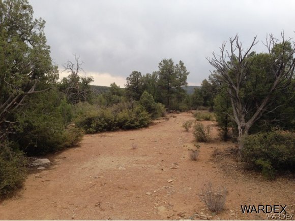 5184 Lookout Road Kingman, AZ 86401 - Photo 5 of 11 wide open spaces