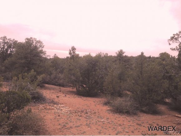 5184 Lookout Road Kingman, AZ 86401 - Photo 7 of 11 more surroundings of nothing