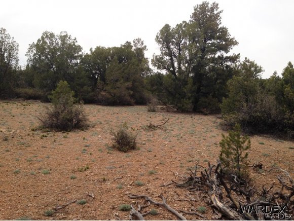 5184 Lookout Road Kingman, AZ 86401 - Photo 9 of 11 PINION PINES