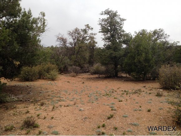 5184 Lookout Road Kingman, AZ 86401 - Photo 10 of 11