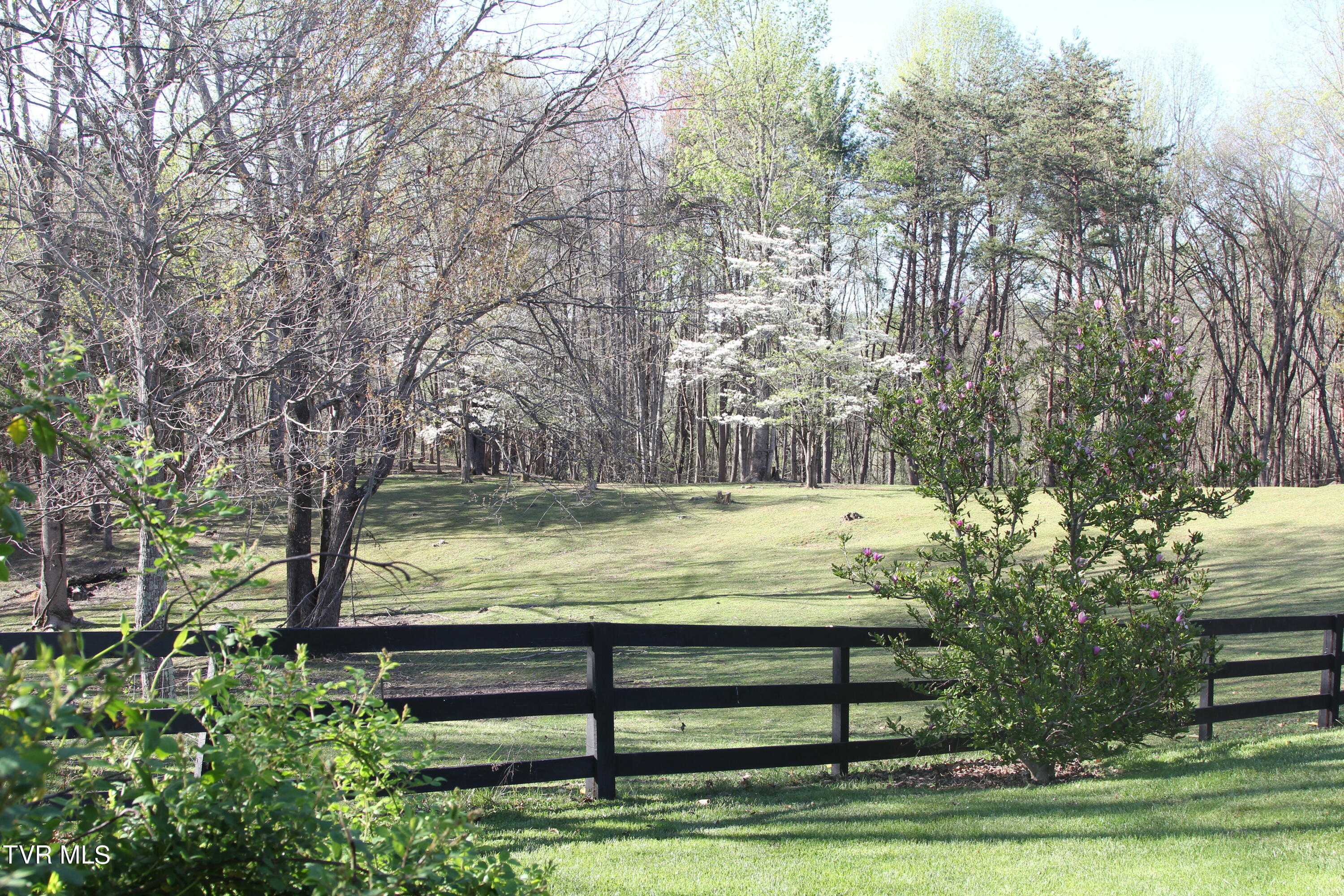 152 Ridgecrest Road Jonesborough, TN 37659 - Photo 46 of 49 70 Field 1