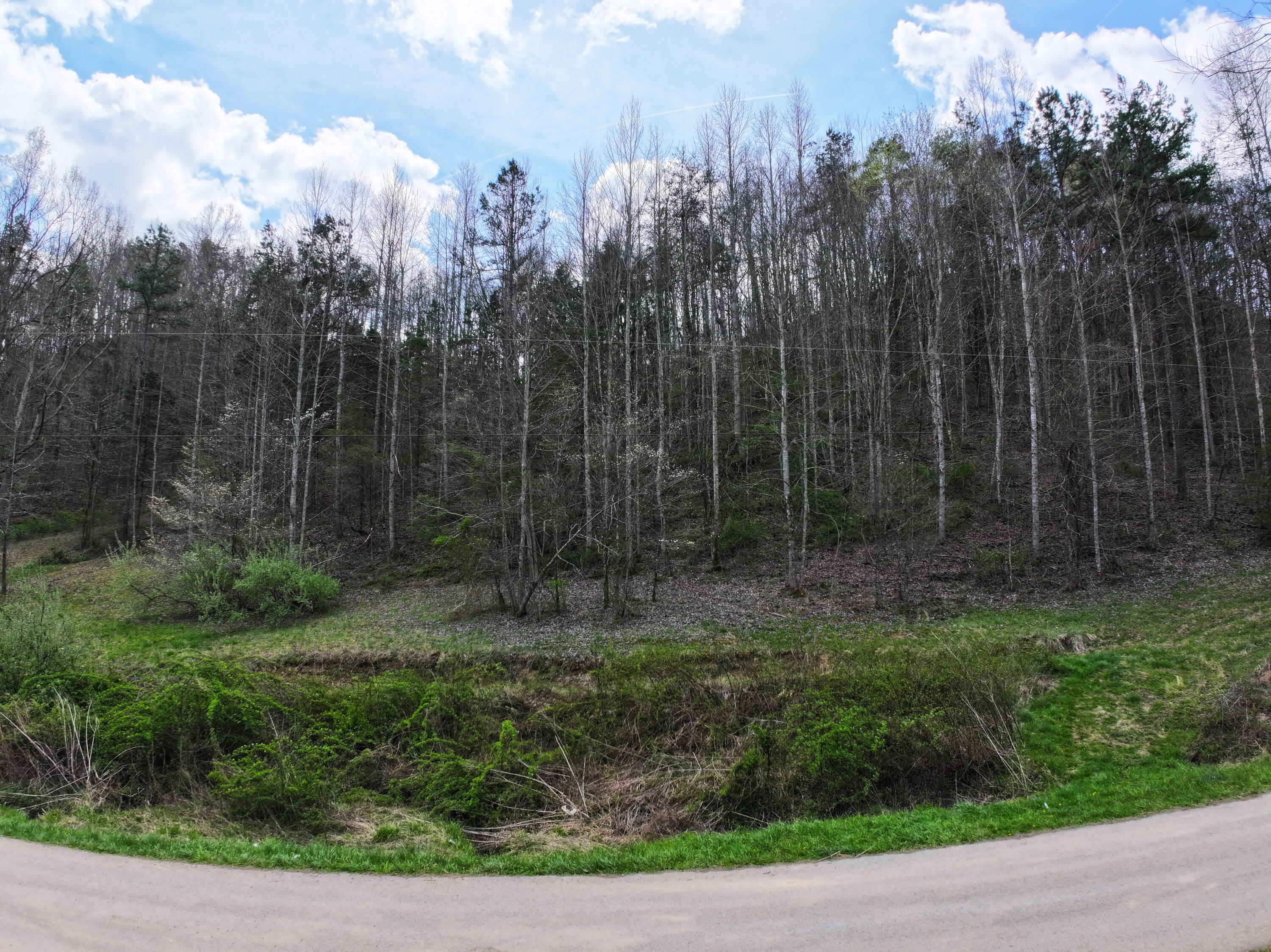 9999 Judd Road, Unit 9999 Booneville, KY 41314 - Photo 10 of 21 Several building or camper spots! All with city water and electricity available!