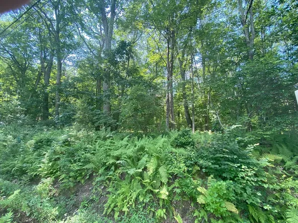 $80,000 | Lot 2-r &3 Chapin Road, Hampden, MA 01036