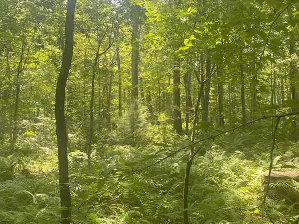 $80,000 | Lot 2-r &3 Chapin Road, Hampden, MA 01036