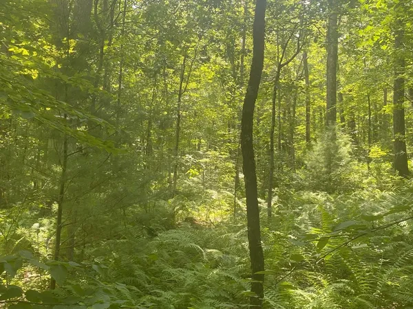 $80,000 | Lot 2-r &3 Chapin Road, Hampden, MA 01036