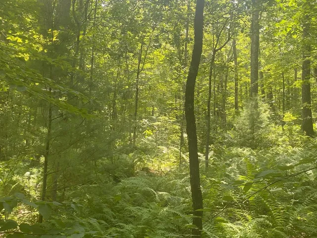 a view of residential area with yard