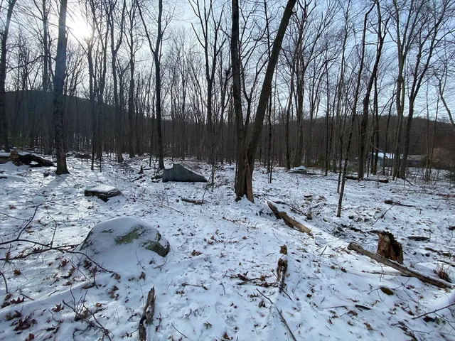 a view of a backyard with swings and slides