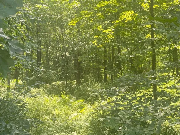 $80,000 | Lot 2-r &3 Chapin Road, Hampden, MA 01036