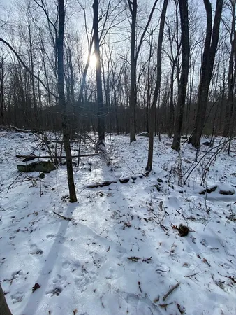 $80,000 | Lot 2-r &3 Chapin Road, Hampden, MA 01036