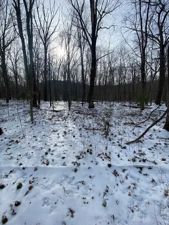 $80,000 | Lot 2-r &3 Chapin Road, Hampden, MA 01036