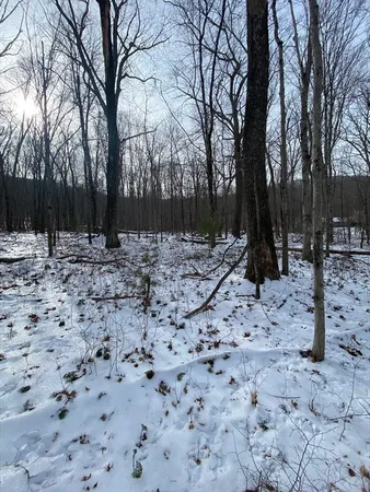 $80,000 | Lot 2-r &3 Chapin Road, Hampden, MA 01036