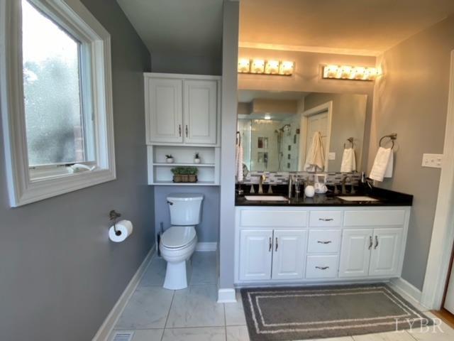 2206 South Fork Road Appomattox, VA 24522 - Photo 29 of 78 a bathroom with a toilet a sink and mirror