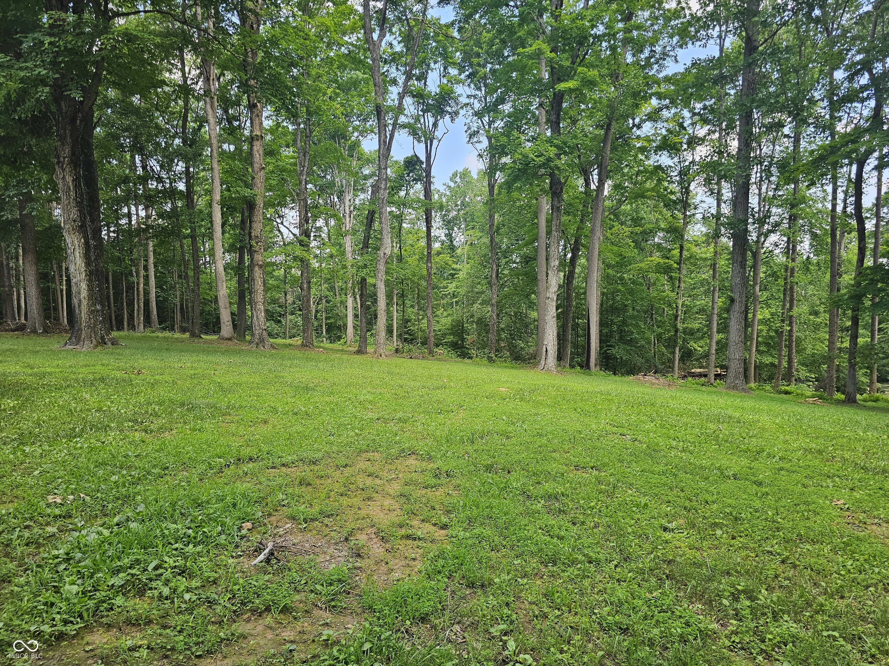 7125 Peregrine Line Road Freedom, IN 47431 - Photo 17 of 20