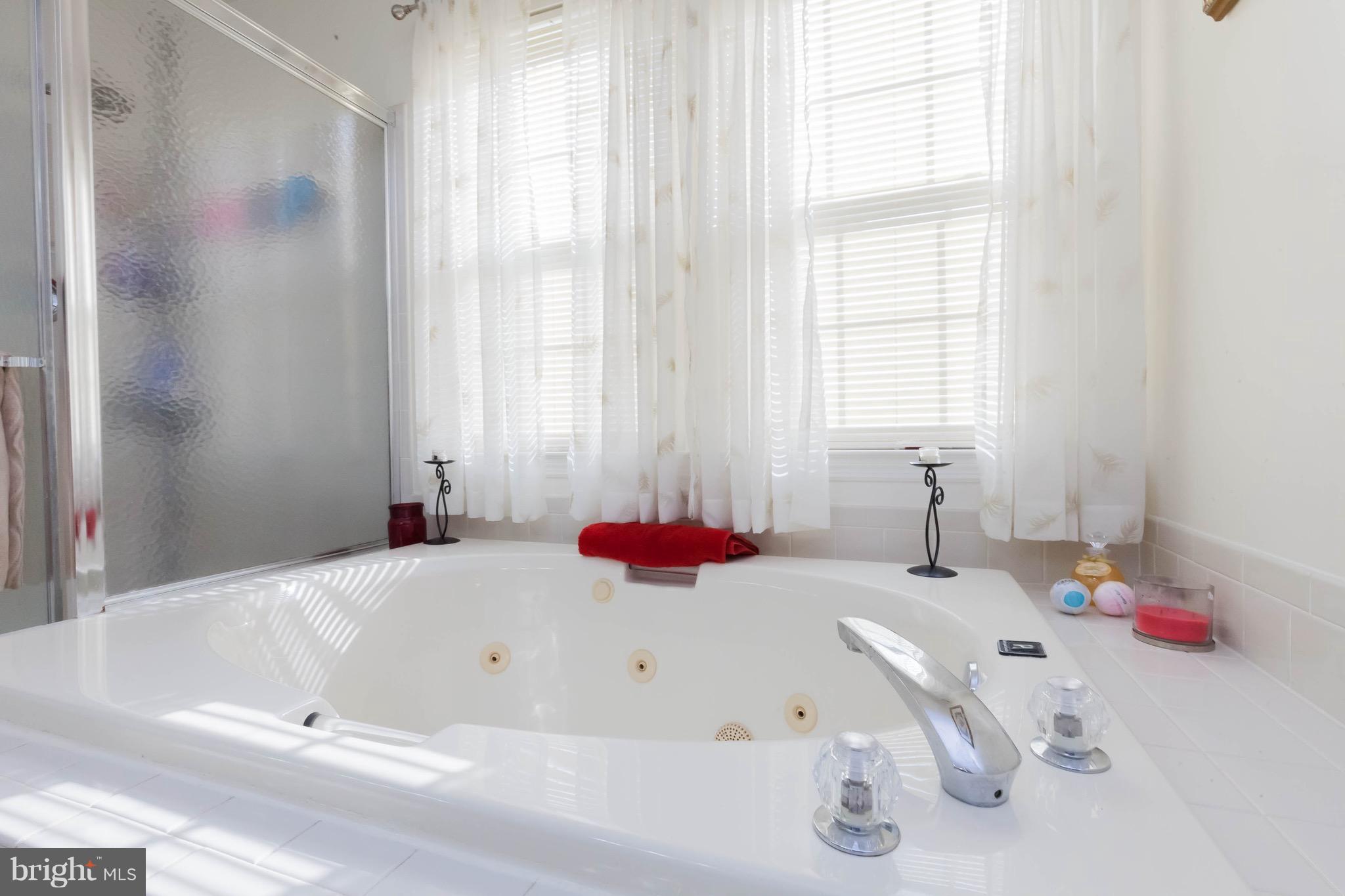 706 Monarch Ridge Road Frederick, MD 21703 - Photo 16 of 30 Bath (Master)