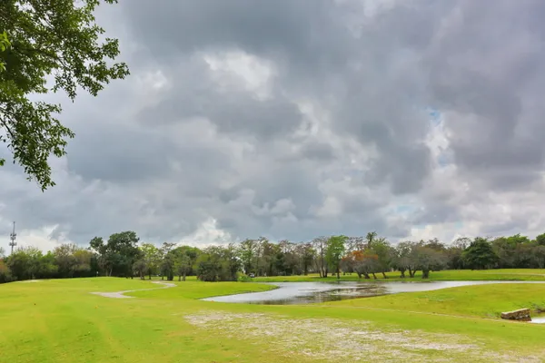a view of a building with a yard