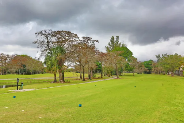 a view of a swimming pool with a yard and large trees