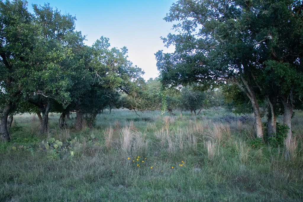 Lot #9 Slate Rock Road, Unit 9 Fredericksburg, TX 78624 - Photo 4 of 16