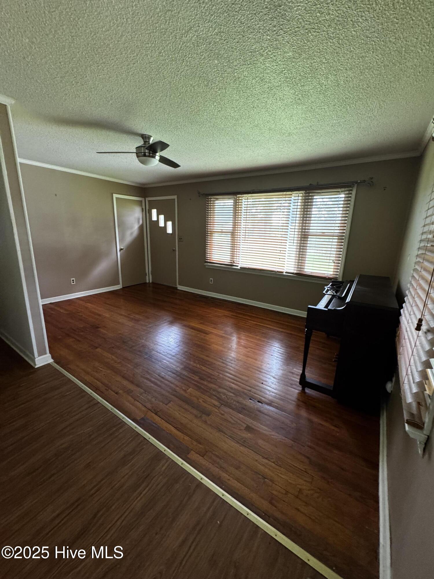 403 Clemmons Street Roper, NC 27970 - Photo 3 of 14 IMG_5537