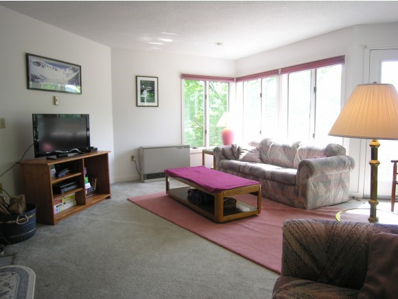 37 Partridge Woods Road, Unit 37 Bartlett, NH 03838 - Photo 11 of 19 Gallery Image 11