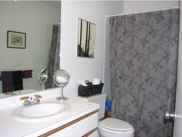 37 Partridge Woods Road, Unit 37 Bartlett, NH 03838 - Photo 6 of 19 Gallery Image 6