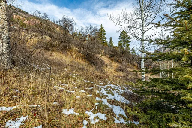 $200,000 | Bear Creek Lane, Carbondale, CO 81623