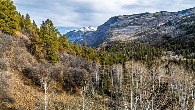 $200,000 | Bear Creek Lane, Carbondale, CO 81623