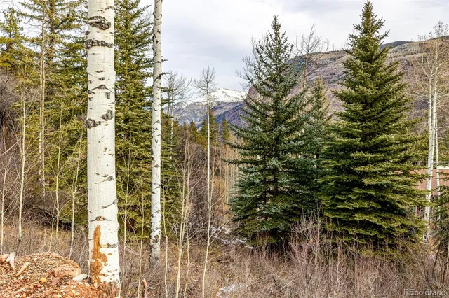 $200,000 | Bear Creek Lane, Carbondale, CO 81623