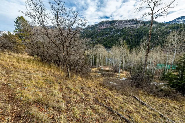 $200,000 | Bear Creek Lane, Carbondale, CO 81623