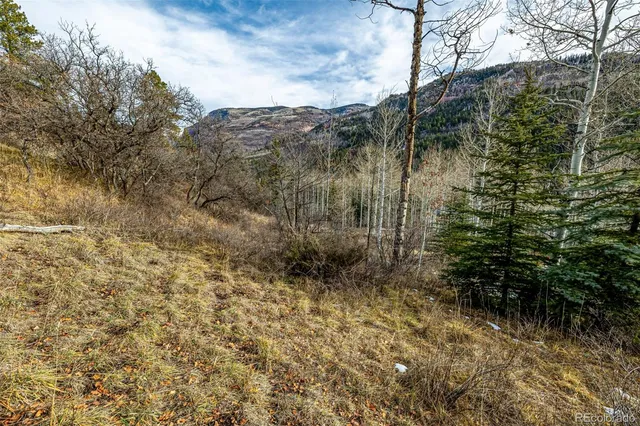 $200,000 | Bear Creek Lane, Carbondale, CO 81623